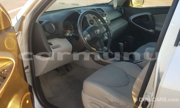 Buy Import Toyota HiAce Other Truck in Import - Dubai in Region of Bouenza Buy Import Toyota HiAce Other Truck in Import - Dubai in Region of Bouenza
