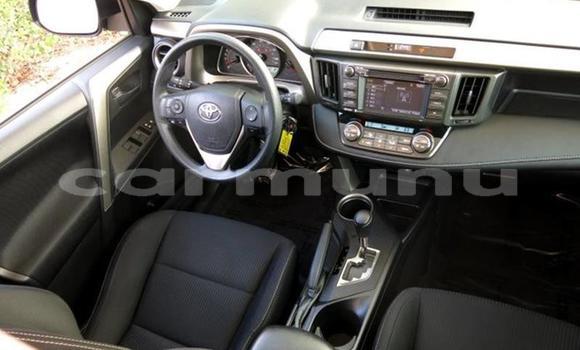Buy Used Toyota RAV4 Black Car in Brazzaville in Municipality of Brazzaville Buy Used Toyota RAV4 Black Car in Brazzaville in Municipality of Brazzaville