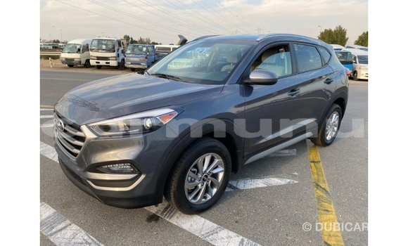 Buy Import Hyundai Tucson White Car in Import - Dubai in Region of Bouenza Buy Import Hyundai Tucson White Car in Import - Dubai in Region of Bouenza