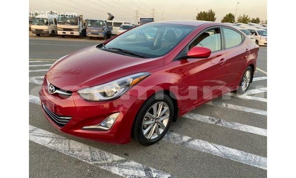 Buy Import Hyundai Elantra Red Car in Import - Dubai in Region of Bouenza Buy Import Hyundai Elantra Red Car in Import - Dubai in Region of Bouenza