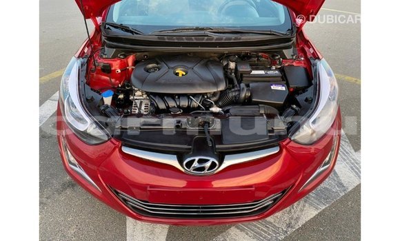 Buy Import Hyundai Elantra Red Car in Import - Dubai in Region of Bouenza Buy Import Hyundai Elantra Red Car in Import - Dubai in Region of Bouenza