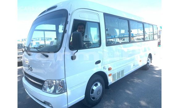 Buy Import Hyundai Chorus White Truck in Import - Dubai in Region of Bouenza Buy Import Hyundai Chorus White Truck in Import - Dubai in Region of Bouenza