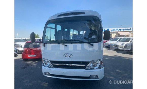 Buy Import Hyundai Chorus White Truck in Import - Dubai in Region of Bouenza Buy Import Hyundai Chorus White Truck in Import - Dubai in Region of Bouenza