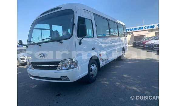 Buy Import Hyundai Chorus White Truck in Import - Dubai in Region of Bouenza Buy Import Hyundai Chorus White Truck in Import - Dubai in Region of Bouenza