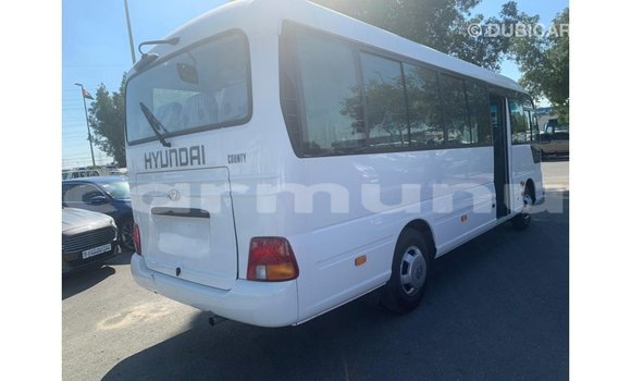 Buy Import Hyundai Chorus White Truck in Import - Dubai in Region of Bouenza Buy Import Hyundai Chorus White Truck in Import - Dubai in Region of Bouenza