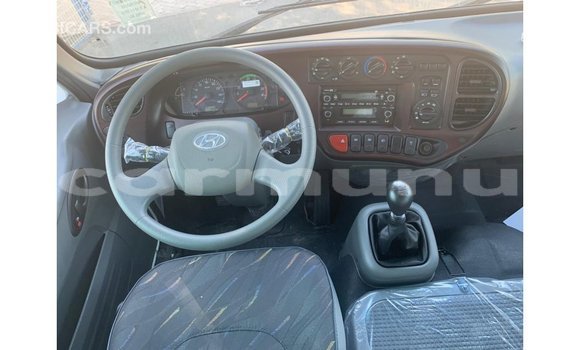 Buy Import Hyundai Chorus White Truck in Import - Dubai in Region of Bouenza Buy Import Hyundai Chorus White Truck in Import - Dubai in Region of Bouenza