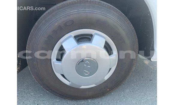 Buy Import Hyundai Chorus White Truck in Import - Dubai in Region of Bouenza Buy Import Hyundai Chorus White Truck in Import - Dubai in Region of Bouenza
