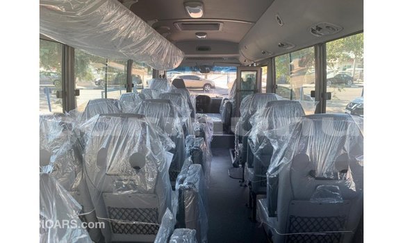 Buy Import Hyundai Chorus White Truck in Import - Dubai in Region of Bouenza Buy Import Hyundai Chorus White Truck in Import - Dubai in Region of Bouenza