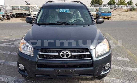 Buy Import Toyota RAV4 Green Car in Import - Dubai in Region of Bouenza Buy Import Toyota RAV4 Green Car in Import - Dubai in Region of Bouenza