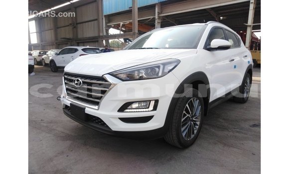 Acheter Import Voiture Hyundai Tucson Blanc à Import - Dubai, Région de la Bouenza Acheter Import Voiture Hyundai Tucson Blanc à Import - Dubai, Région de la Bouenza