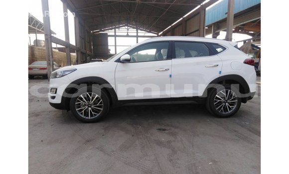 Acheter Import Voiture Hyundai Tucson Blanc à Import - Dubai, Région de la Bouenza Acheter Import Voiture Hyundai Tucson Blanc à Import - Dubai, Région de la Bouenza