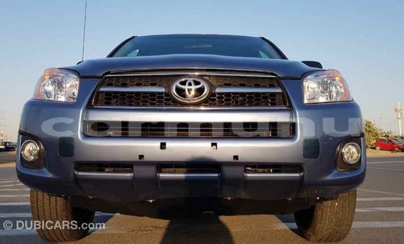 Buy Import Toyota RAV4 Blue Car in Import - Dubai in Region of Bouenza Buy Import Toyota RAV4 Blue Car in Import - Dubai in Region of Bouenza
