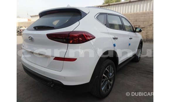 Acheter Import Voiture Hyundai Tucson Blanc à Import - Dubai, Région de la Bouenza Acheter Import Voiture Hyundai Tucson Blanc à Import - Dubai, Région de la Bouenza