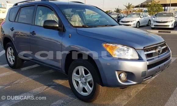 Buy Import Toyota RAV4 Blue Car in Import - Dubai in Region of Bouenza Buy Import Toyota RAV4 Blue Car in Import - Dubai in Region of Bouenza