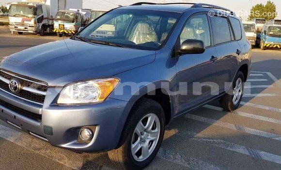 Buy Import Toyota RAV4 Blue Car in Import - Dubai in Region of Bouenza Buy Import Toyota RAV4 Blue Car in Import - Dubai in Region of Bouenza
