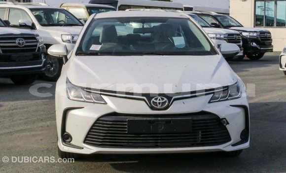 Acheter Import Voiture Toyota Corolla Blanc à Import - Dubai, Région de la Bouenza Acheter Import Voiture Toyota Corolla Blanc à Import - Dubai, Région de la Bouenza