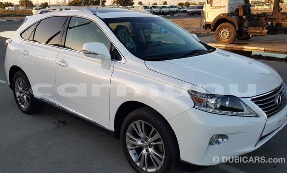 Acheter Import Voiture Lexus RX 350 Blanc à Import - Dubai, Région de la Bouenza Acheter Import Voiture Lexus RX 350 Blanc à Import - Dubai, Région de la Bouenza