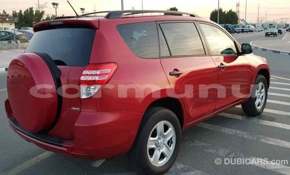Buy Import Toyota RAV4 Red Car in Import - Dubai in Region of Bouenza Buy Import Toyota RAV4 Red Car in Import - Dubai in Region of Bouenza