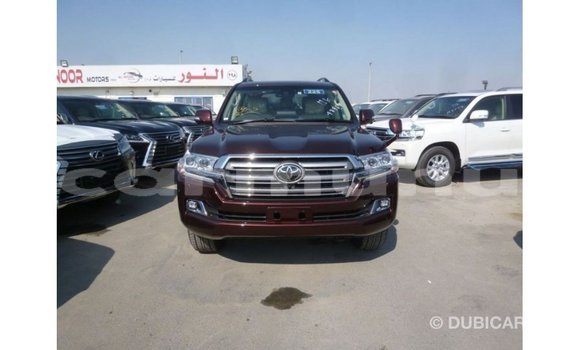 Buy Import Toyota Land Cruiser Brown Car in Import - Dubai in Region of Bouenza Buy Import Toyota Land Cruiser Brown Car in Import - Dubai in Region of Bouenza