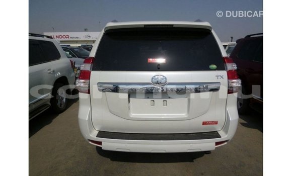 Buy Import Toyota Prado White Car in Import - Dubai in Region of Bouenza Buy Import Toyota Prado White Car in Import - Dubai in Region of Bouenza
