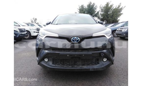 Buy Import Toyota C-HR Other Car in Import - Dubai in Region of Bouenza Buy Import Toyota C-HR Other Car in Import - Dubai in Region of Bouenza