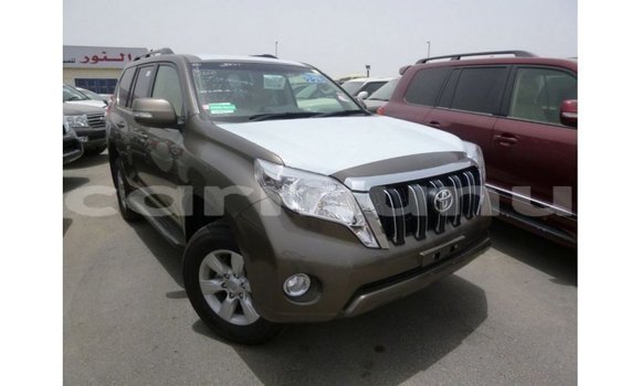 Buy Import Toyota Prado Brown Car in Import - Dubai in Region of Bouenza Buy Import Toyota Prado Brown Car in Import - Dubai in Region of Bouenza