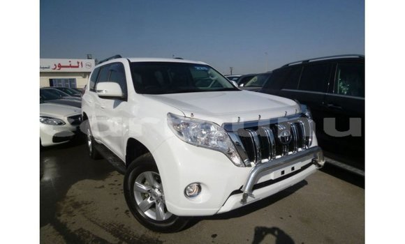 Acheter Import Voiture Toyota Prado Blanc à Import - Dubai, Région de la Bouenza Acheter Import Voiture Toyota Prado Blanc à Import - Dubai, Région de la Bouenza