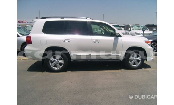 Acheter Import Voiture Toyota Land Cruiser Blanc à Import - Dubai, Région de la Bouenza Acheter Import Voiture Toyota Land Cruiser Blanc à Import - Dubai, Région de la Bouenza