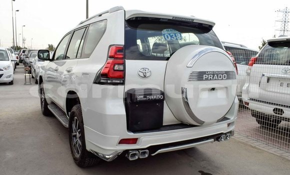 Acheter Import Voiture Toyota Prado Blanc à Import - Dubai, Région de la Bouenza Acheter Import Voiture Toyota Prado Blanc à Import - Dubai, Région de la Bouenza