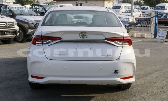 Acheter Import Voiture Toyota Corolla Blanc à Import - Dubai, Région de la Bouenza Acheter Import Voiture Toyota Corolla Blanc à Import - Dubai, Région de la Bouenza