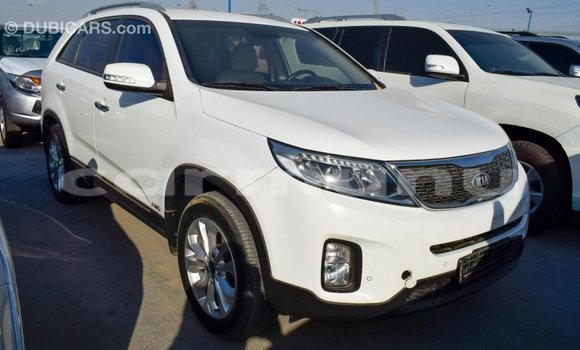 Buy Import Kia Sorento White Car in Import - Dubai in Region of Bouenza Buy Import Kia Sorento White Car in Import - Dubai in Region of Bouenza
