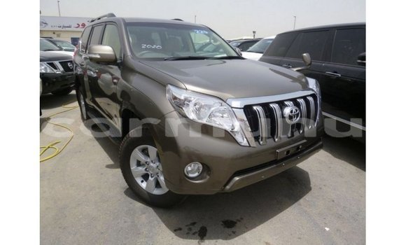 Buy Import Toyota Prado Brown Car in Import - Dubai in Region of Bouenza Buy Import Toyota Prado Brown Car in Import - Dubai in Region of Bouenza