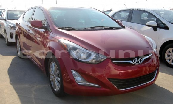 Buy Import Hyundai Elantra Red Car in Import - Dubai in Region of Bouenza Buy Import Hyundai Elantra Red Car in Import - Dubai in Region of Bouenza