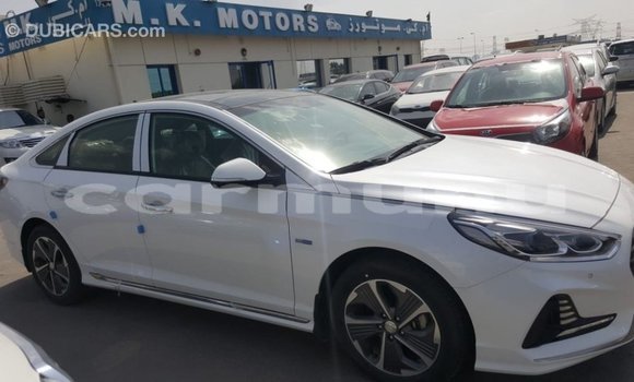 Acheter Import Voiture Hyundai Sonata Blanc à Import - Dubai, Région de la Bouenza Acheter Import Voiture Hyundai Sonata Blanc à Import - Dubai, Région de la Bouenza