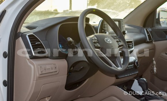 Buy Import Hyundai Tucson White Car in Import - Dubai in Region of Bouenza Buy Import Hyundai Tucson White Car in Import - Dubai in Region of Bouenza