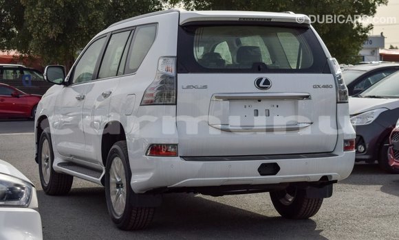 Buy New Lexus GX White Car in Import - Dubai in Region of Bouenza Buy New Lexus GX White Car in Import - Dubai in Region of Bouenza