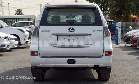 Buy New Lexus GX White Car in Import - Dubai in Region of Bouenza Buy New Lexus GX White Car in Import - Dubai in Region of Bouenza