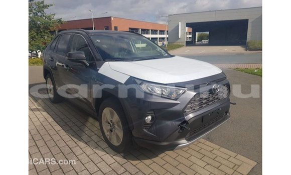 Buy Import Toyota RAV4 Other Car in Import - Dubai in Region of Bouenza Buy Import Toyota RAV4 Other Car in Import - Dubai in Region of Bouenza