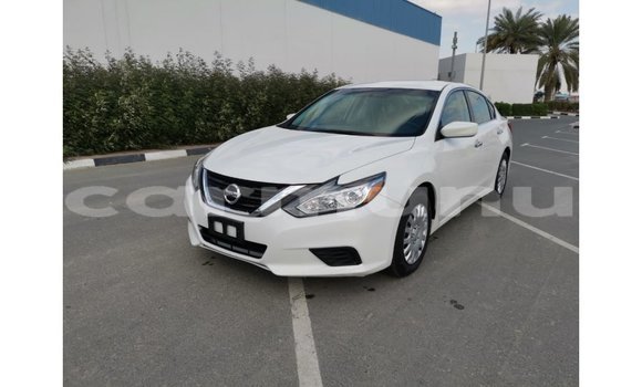Buy Import Nissan Altima White Car in Import - Dubai in Region of Bouenza Buy Import Nissan Altima White Car in Import - Dubai in Region of Bouenza