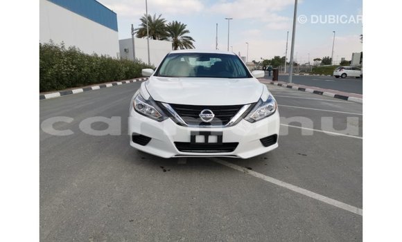 Buy Import Nissan Altima White Car in Import - Dubai in Region of Bouenza Buy Import Nissan Altima White Car in Import - Dubai in Region of Bouenza