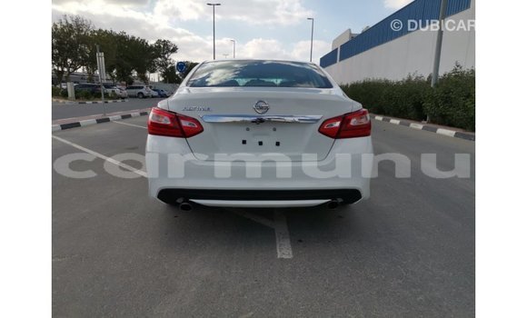 Buy Import Nissan Altima White Car in Import - Dubai in Region of Bouenza Buy Import Nissan Altima White Car in Import - Dubai in Region of Bouenza
