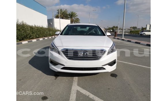 Buy Import Hyundai Sonata White Car in Import - Dubai in Region of Bouenza Buy Import Hyundai Sonata White Car in Import - Dubai in Region of Bouenza