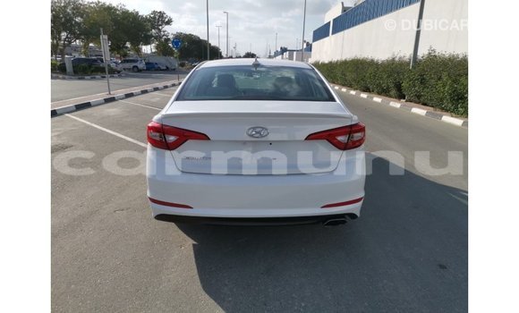 Buy Import Hyundai Sonata White Car in Import - Dubai in Region of Bouenza Buy Import Hyundai Sonata White Car in Import - Dubai in Region of Bouenza