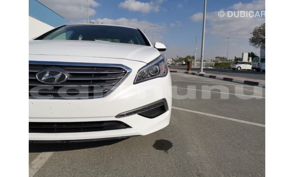 Buy Import Hyundai Sonata White Car in Import - Dubai in Region of Bouenza Buy Import Hyundai Sonata White Car in Import - Dubai in Region of Bouenza