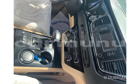 Buy Import Kia Carnival White Car in Import - Dubai in Region of Bouenza Buy Import Kia Carnival White Car in Import - Dubai in Region of Bouenza