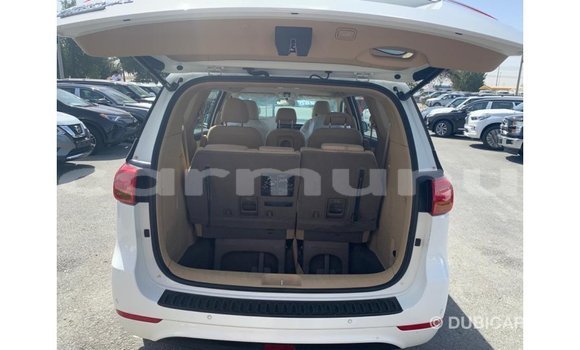 Buy Import Kia Carnival White Car in Import - Dubai in Region of Bouenza Buy Import Kia Carnival White Car in Import - Dubai in Region of Bouenza