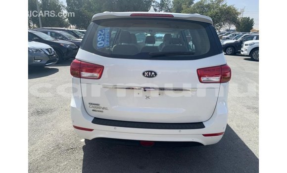 Buy Import Kia Carnival White Car in Import - Dubai in Region of Bouenza Buy Import Kia Carnival White Car in Import - Dubai in Region of Bouenza