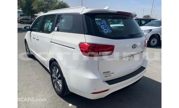 Buy Import Kia Carnival White Car in Import - Dubai in Region of Bouenza Buy Import Kia Carnival White Car in Import - Dubai in Region of Bouenza