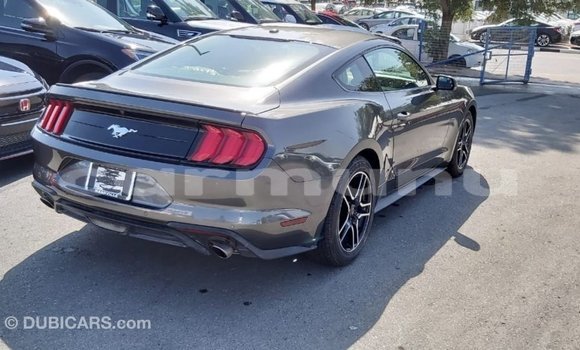 Buy Import Ford Mustang Other Car in Import - Dubai in Region of Bouenza Buy Import Ford Mustang Other Car in Import - Dubai in Region of Bouenza