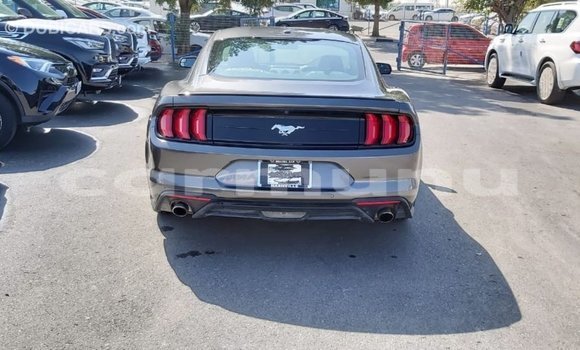 Buy Import Ford Mustang Other Car in Import - Dubai in Region of Bouenza Buy Import Ford Mustang Other Car in Import - Dubai in Region of Bouenza